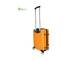ABS Organisatorische Dubbele Spinner Hard Carry On Suitcase